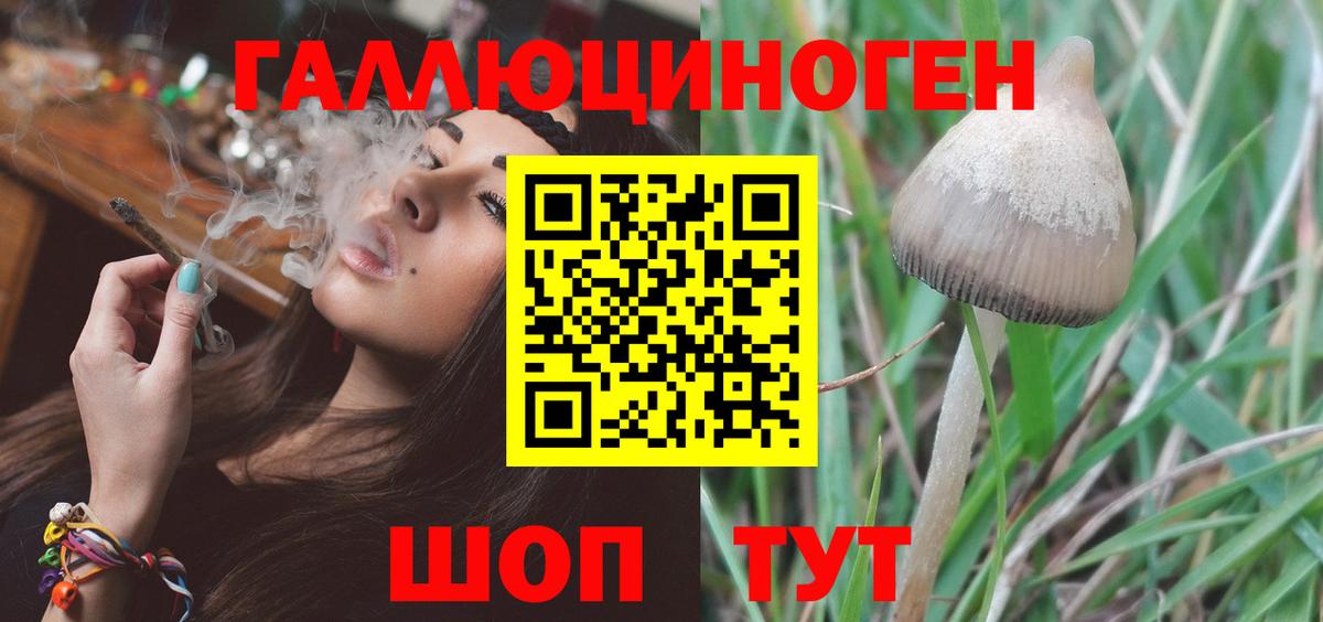 Псилоцибиновые грибы мухоморы  Вход с VPN  Славянск-на-Кубани 
